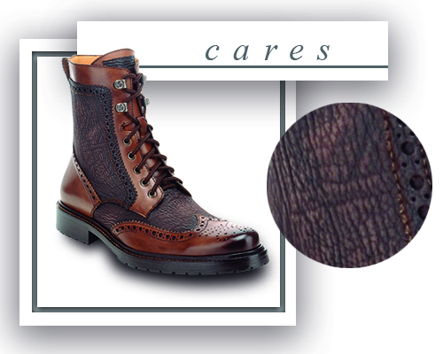 How to take care of the genuine shark leather_cares